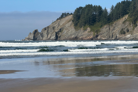 جولة مشاهدة حيتان إلى خليج ديبو وشاطئ كانون وتيلاموك