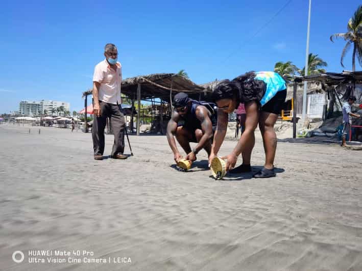 .6Hr Tour Diving Show Baby Turtle Release & All Attractions
