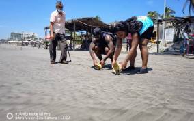 .6Hr Tour Diving Show Baby Turtle Release & All Attractions