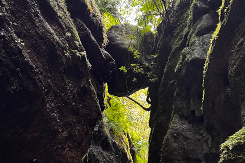 Madeira: Canyoningtocht voor gevorderdenMadeira: Canyoning voor de gevorderden