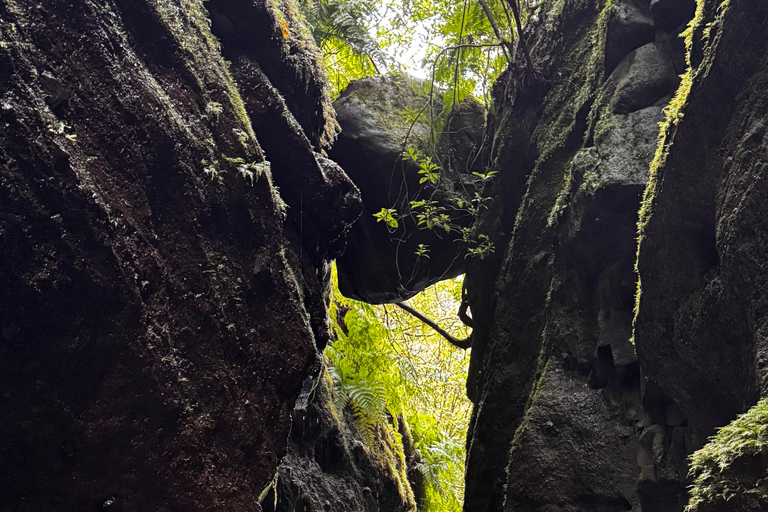 Madeira: Canyoningtocht voor gevorderdenMadeira: Canyoning voor de gevorderden