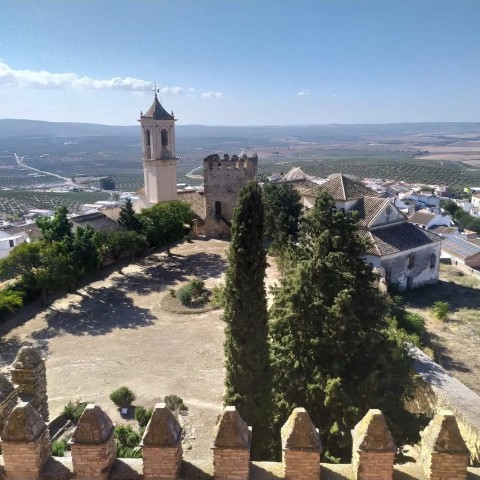 Córdoba Ducal Castle Guided Walking Tour