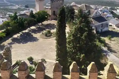 Visita guiada a pie al Castillo Ducal