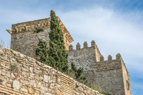Córdoba: begeleide wandeling door het hertogelijk kasteelEspejo: rondleiding door het hertogelijk kasteel