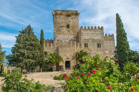 Cordoue : visite guidée à pied du château ducalEspejo : visite guidée du château ducal