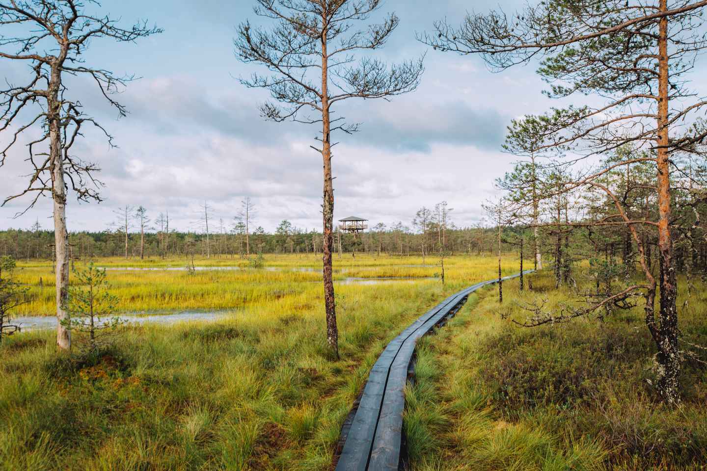 From Tallinn: Lahemaa National Park Day Tour