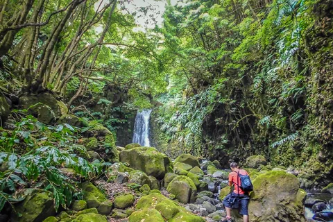 Full-Day Faial da Terra + Nordeste from Ponta Delgada