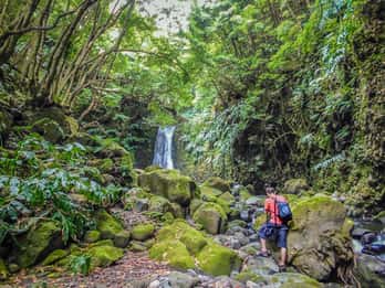 Día completo Faial da Terra + Nordeste desde Ponta Delgada