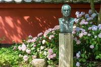 Leiden, Hortus Botanicus Eintrittskarte - Hizvo