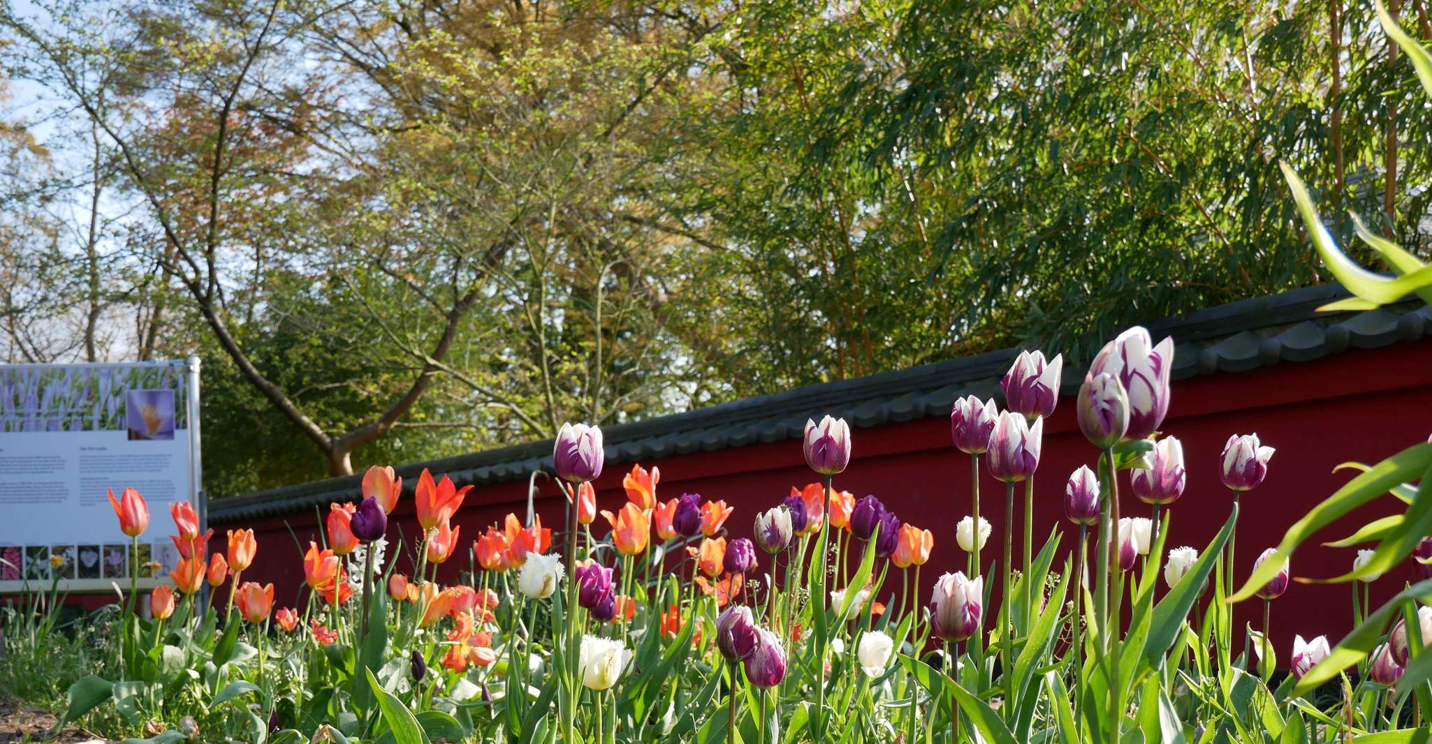 Leiden, entrada a Hortus Botanicus - Hizvo