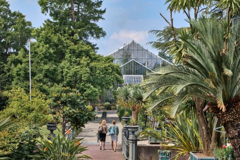 Leiden: Hortus Botanicus Eintrittskarte
