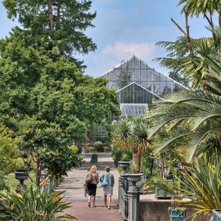 Leiden: Hortus Botanicus Eintrittskarte