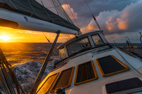 Hobart: excursion panoramique en yacht de luxe avec collations