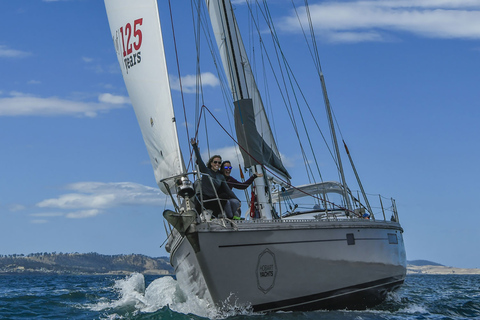 Hobart: luxe jacht schilderachtige zeiltocht met snacks