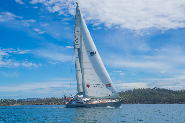 Hobart: tour panoramico in barca a vela di lusso con snack