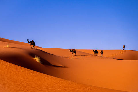 Marrakech: excursion de 3 jours dans le désert vers les dunes de Merzouga et la randonnée à dos de chameauExcursion privée de 3 jours dans le désert du Sahara de Marrakech à Merzouga