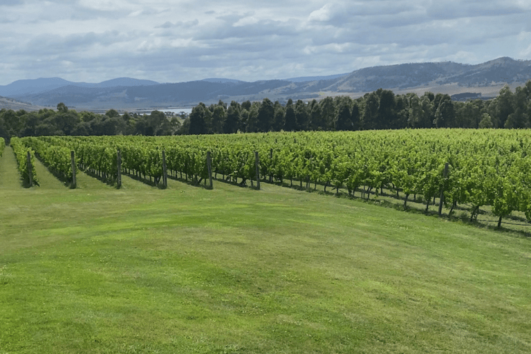 Tasmanien: Private Distillers Reserve Distillery TourTasmanien: Private Halbtagestour durch die Destillerie