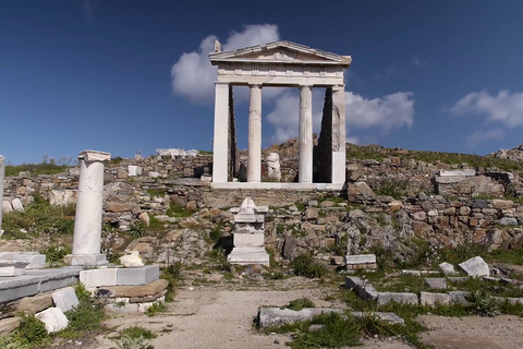 Från Mykonos: Eftermiddagskryssning och guidad tur på Delos