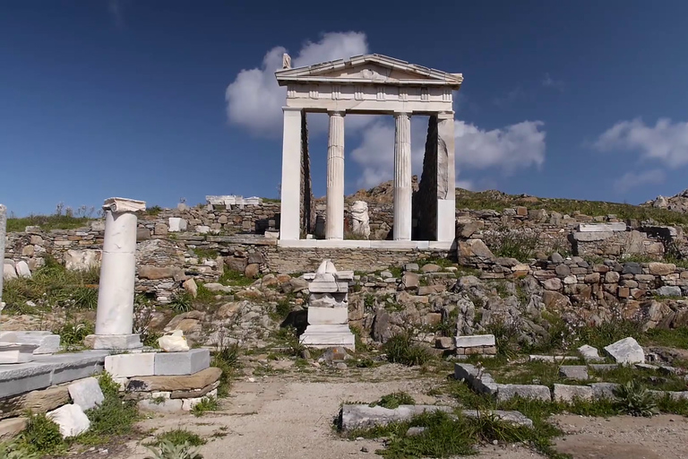 Au départ de Mykonos : Croisière et visite guidée de Delos dans l&#039;après-midi