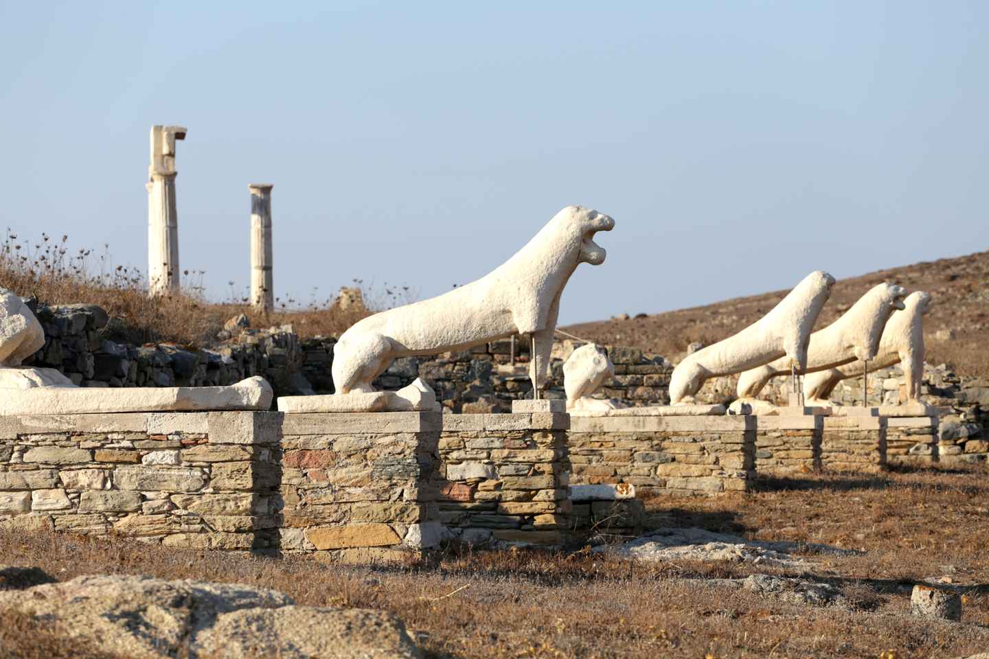 From Mykonos: Afternoon Delos Cruise & Guided Tour