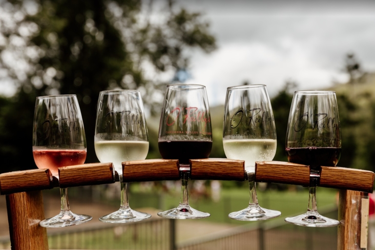 Gold Coast: Private Winery Tour in een nieuw luxe voertuigPremium privéwijnmakerij in een nieuw luxe voertuig