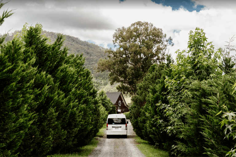 Gold Coast: Private Winery Tour in a New Luxury Vehicle Premium Private Winery Tour in a New Luxury Vehicle