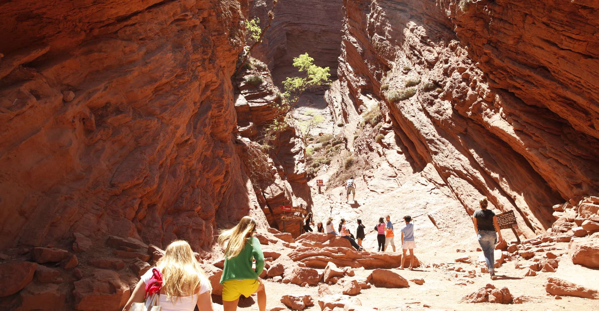 Excursão de 3 dias em Salta, Cafayate, Cachi e Hornocal - Hizvo