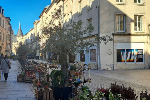 Nancy: Wandeltour met professionele gids