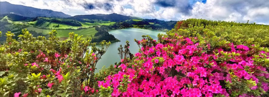 São Miguel: Furnas and Nordeste Full-Day Tour with Lunch