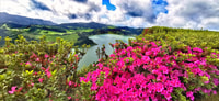 São Miguel, Furnas and Nordeste Full-Day Tour with Lunch - Housity