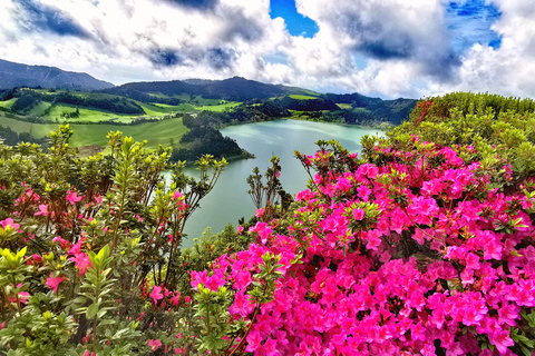 São Miguel: visite de 8 heures de Furnas et Nordeste avec déjeunerSão Miguel: visite de Furnas et Nordeste avec déjeuner et transfert