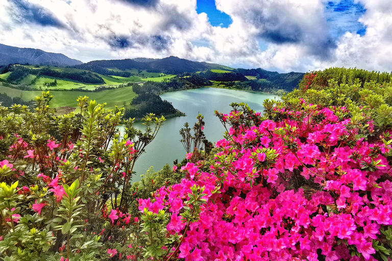 São Miguel: visite de 8 heures de Furnas et Nordeste avec déjeunerSão Miguel: visite de Furnas et Nordeste avec déjeuner et transfert