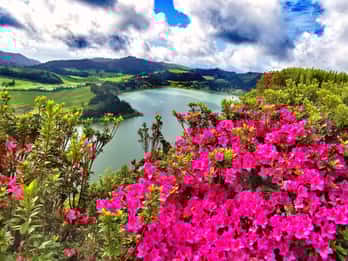 São Miguel: tour de día completo por Furnas y el Nordeste con almuerzo