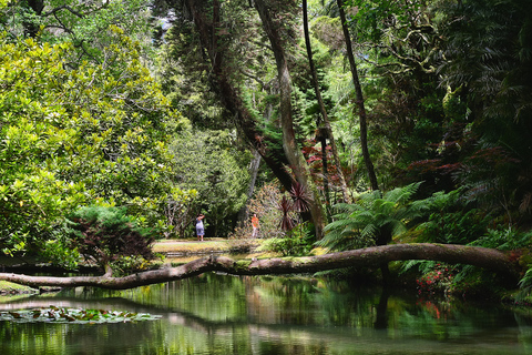 São Miguel: Furnas y Nordeste Tour de 8 horas con almuerzoSão Miguel: tour de Furnas y Nordeste con almuerzo y traslado