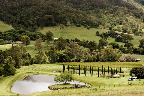 Gold Coast: Private Winery Tour in a New Luxury Vehicle Premium Private Winery Tour in a New Luxury Vehicle
