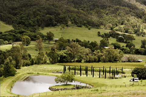 Gold Coast: visite privée d'une cave dans un nouveau véhicule de luxeVisite privée de vignobles haut de gamme dans un nouveau véhicule de luxe