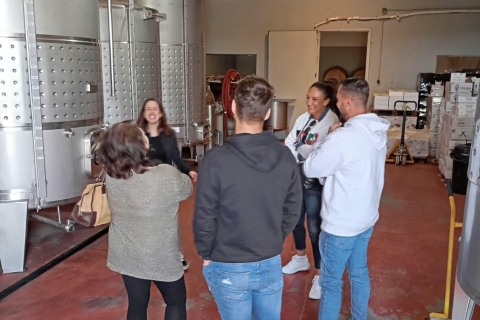 Guided vineyard&cellar tour + 5 wine tasting with tapas Guided Visit to a pretty vineyard & cellar, 5 wines & tapas
