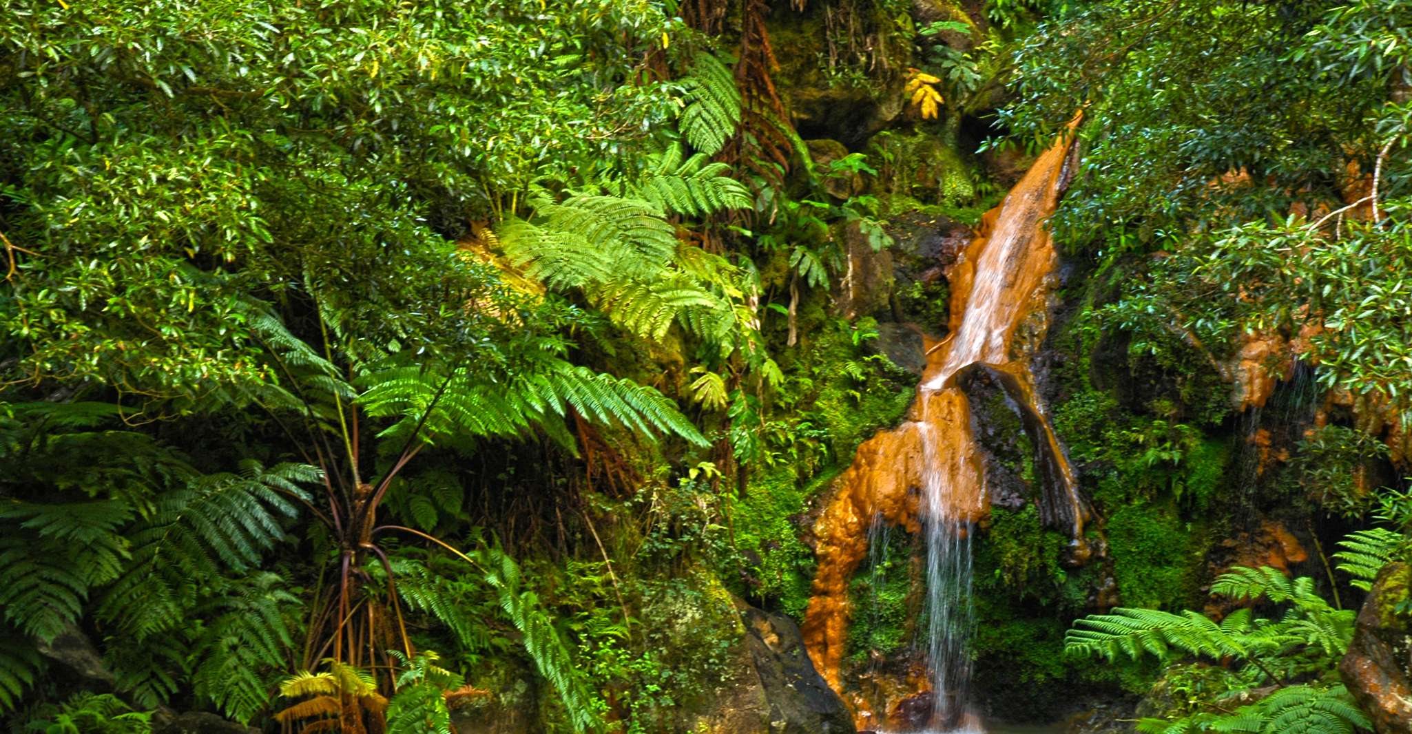 São Miguel West, Sete Cidades y Fogo Tour con Almuerzo - Hizvo