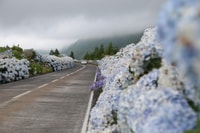 São Miguel West, Sete Cidades y Fogo Tour con Almuerzo - Hizvo