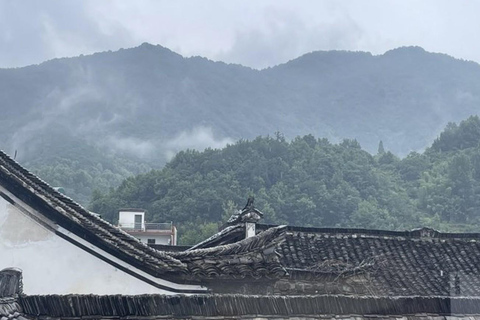Shanghai: Fuyang Bayberry Picking & Ancient Town Day Trip