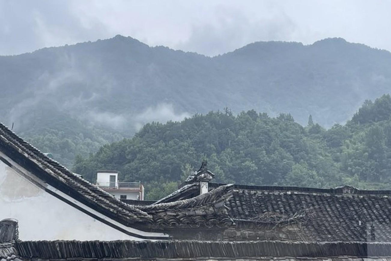 Shanghai: Fuyang Bayberry Picking & Ancient Town Day Trip