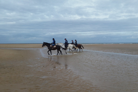 Agadir: Beach and Ranch Horse Riding Tour From Taghazout