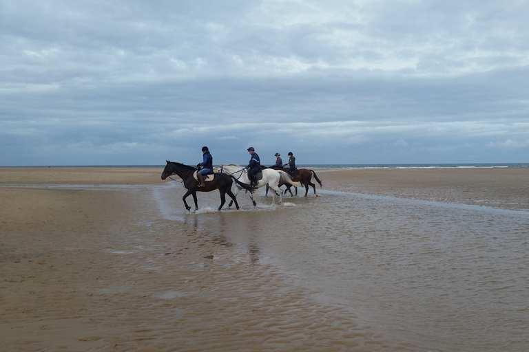 Agadir: Beach and Ranch Horse Riding Tour From Taghazout