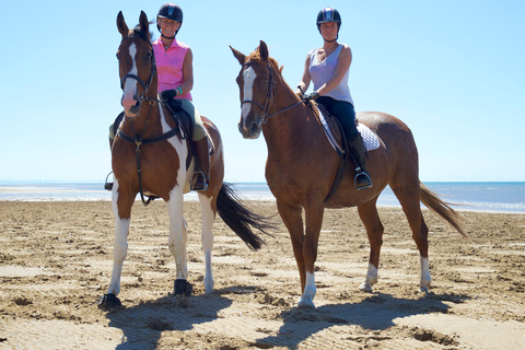 Agadir: Beach and Ranch Horse Riding Tour From Taghazout