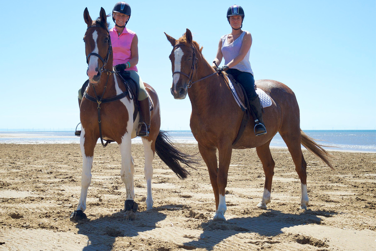 Agadir: Passeios a cavalo guiados por florestas e dunas de areiaExcursão de Agadir