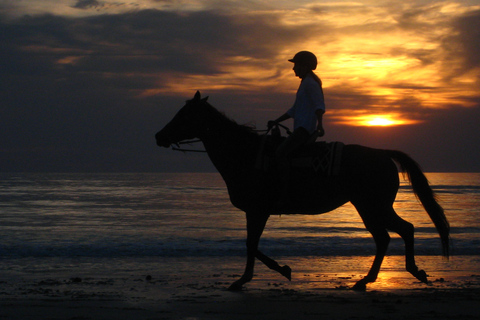 Agadir: Beach and Ranch Horse Riding Tour From Taghazout