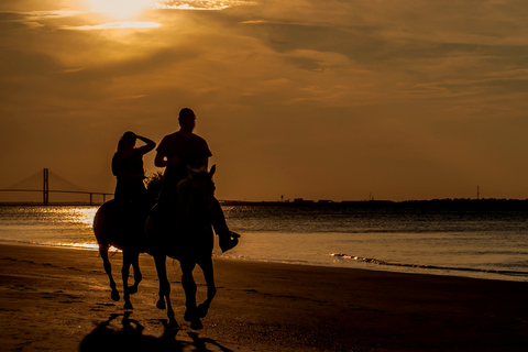 Agadir: Passeios a cavalo guiados por florestas e dunas de areiaDe Taghazout