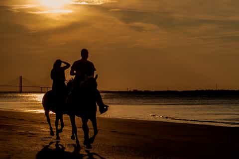 Agadir: Beach and Ranch Horse Riding Tour