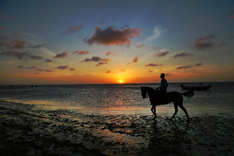 Agadir: Bos en zandduinen paardrijden met gidsRondreis vanuit Agadir