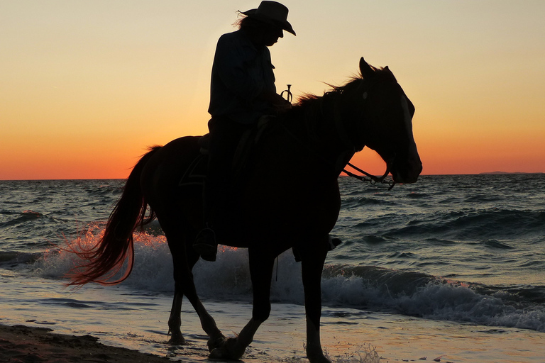 Agadir : Randonnée à cheval en forêt et dans les dunes de sableCircuit au départ d&#039;Agadir